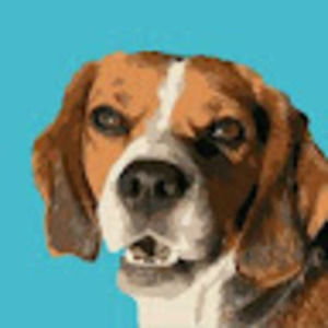 Meet your Posher, Dustin